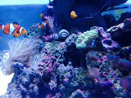 沼津深海水族館 沼津深海水族館