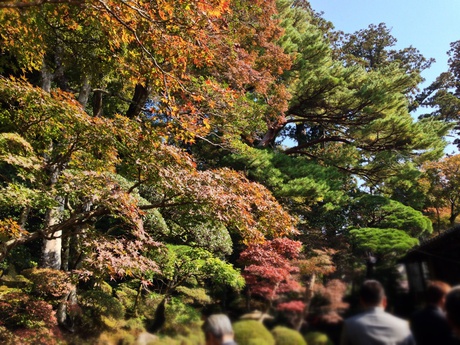 修禅寺