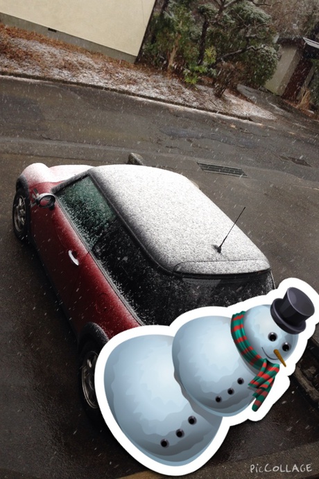 雪ですね 雪ですね