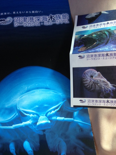 沼津深海水族館 沼津深海水族館