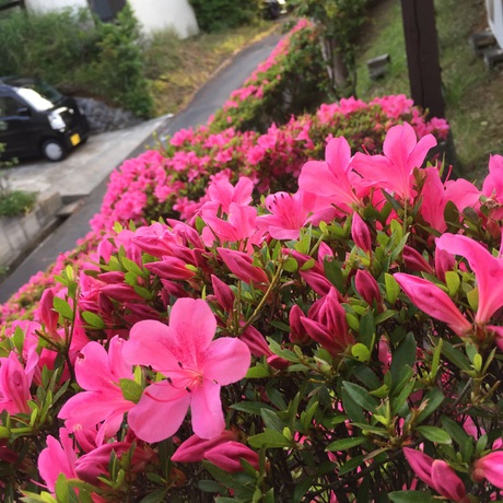休日 休日