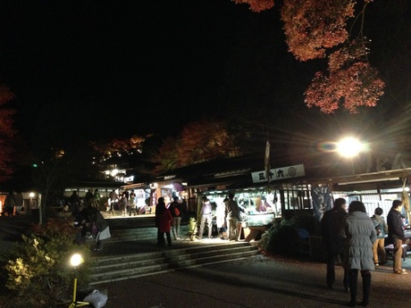 虹の郷の紅葉 虹の郷の紅葉