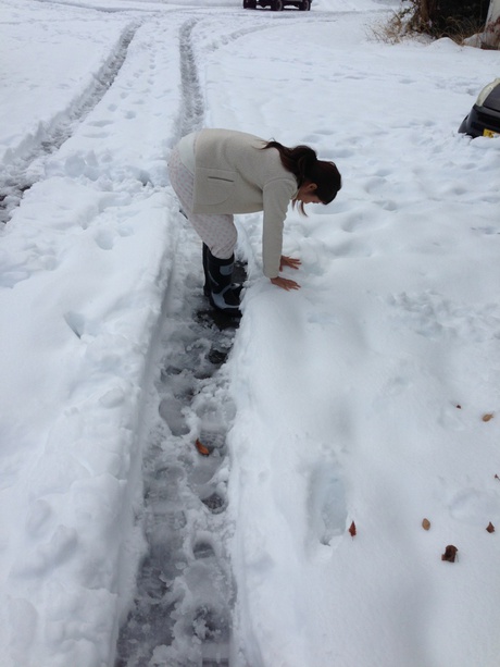 積雪