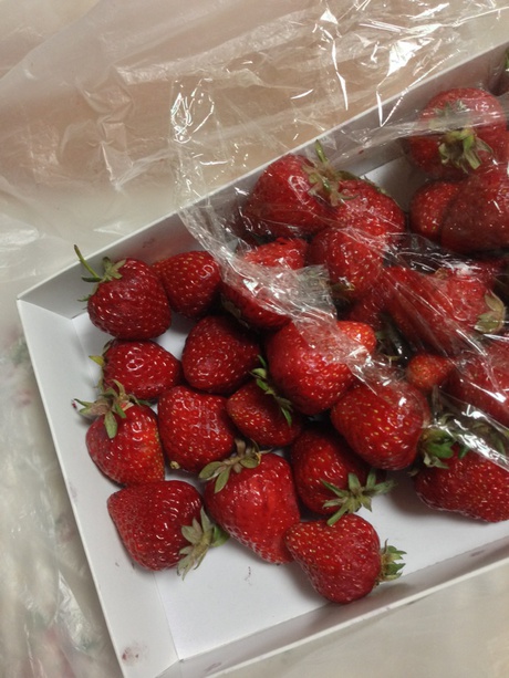 転ぶなんて 転ぶなんて