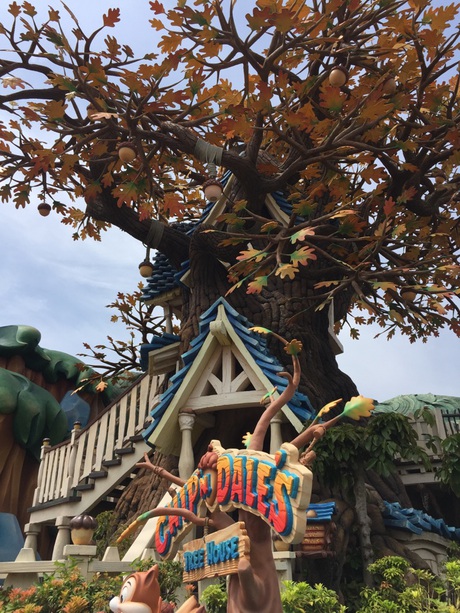 ディズニーからの信州そして母の日 ディズニーからの信州そして母の日