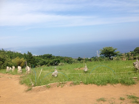 もう6月 もう6月