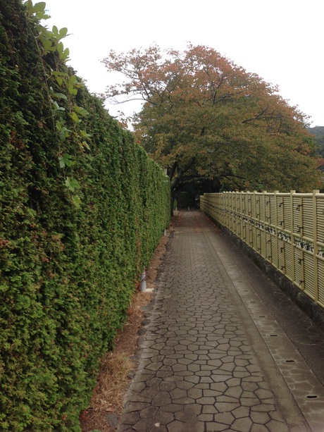 はじめてのお散歩 はじめてのお散歩