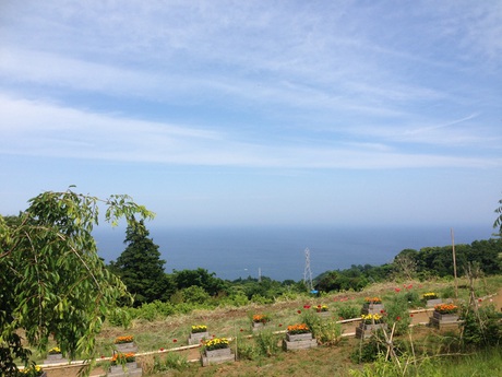 もう6月 もう6月
