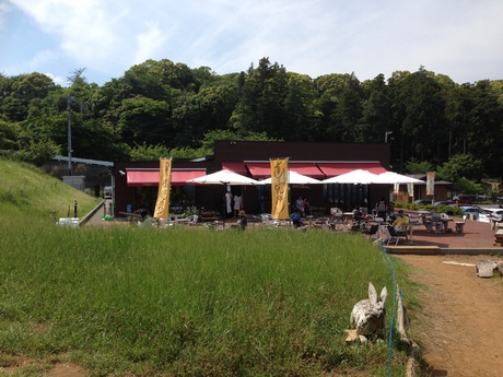 もう6月 もう6月