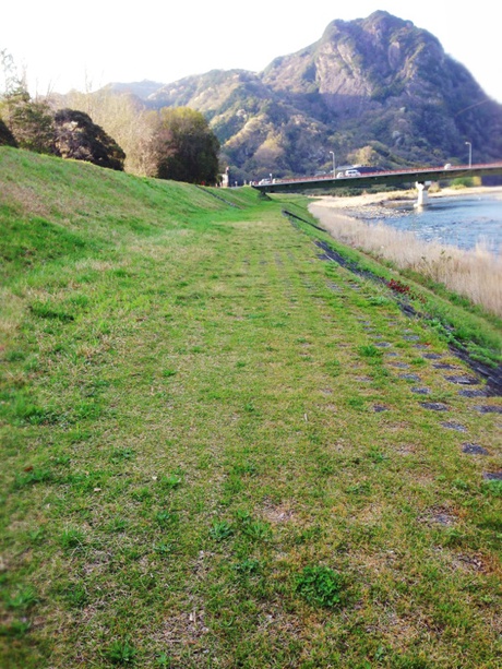 お散歩 お散歩