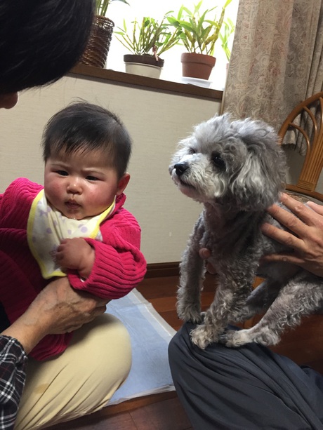 お正月は お正月は