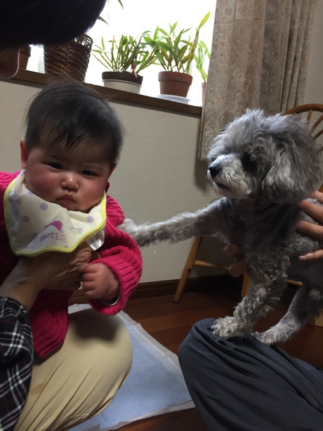お正月は お正月は