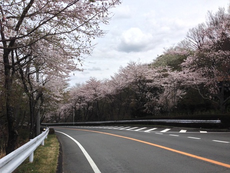 やまびこ やまびこ