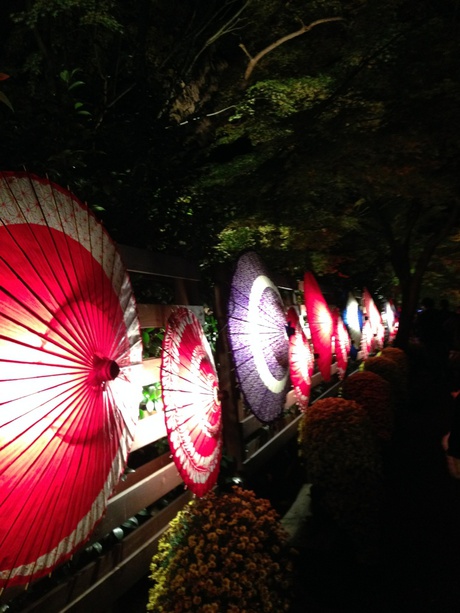虹の郷の紅葉 虹の郷の紅葉