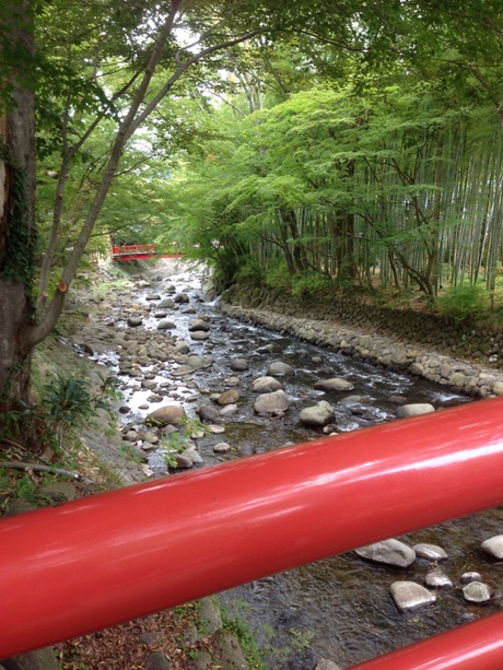 はじめてのお散歩 はじめてのお散歩