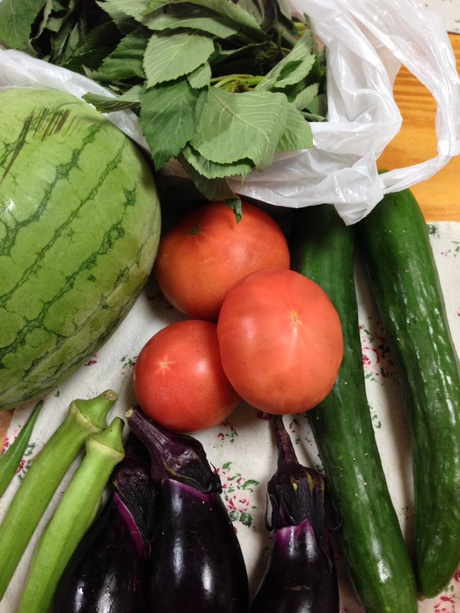 野菜たち 野菜たち