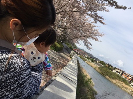 お花見 お花見