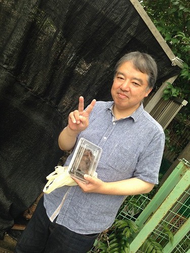 市川さん見てください~♪ 生きくらげはこんな風に… 市川さん見てください~♪ 生きくらげはこんな風に…