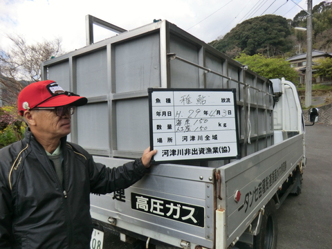 アユ稚魚を放流しました(漁場案内付き) アユ稚魚を放流しました(漁場案内付き)