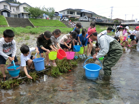小学生のアユ体験放流を行いました 小学生のアユ体験放流を行いました