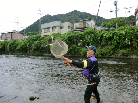 好調!河津川あゆ試し釣り 好調!河津川あゆ試し釣り