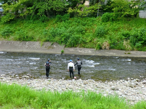 好調!河津川あゆ試し釣り 好調!河津川あゆ試し釣り