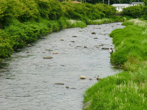好調!河津川あゆ試し釣り 好調!河津川あゆ試し釣り
