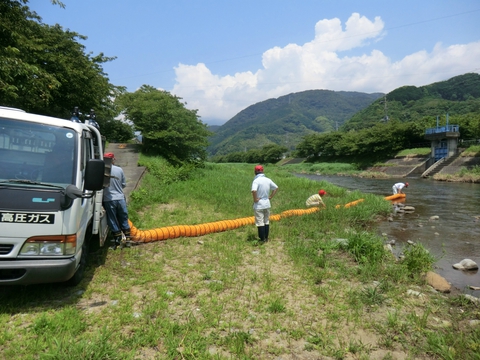 静岡県あゆ友釣り大会準備完了 川止め情報 静岡県あゆ友釣り大会準備完了 川止め情報