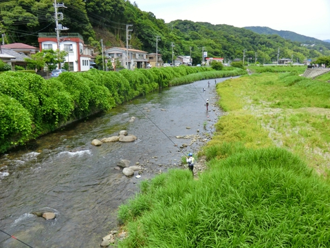 第62回静岡県鮎友釣選手権大会in河津川 第62回静岡県鮎友釣選手権大会in河津川