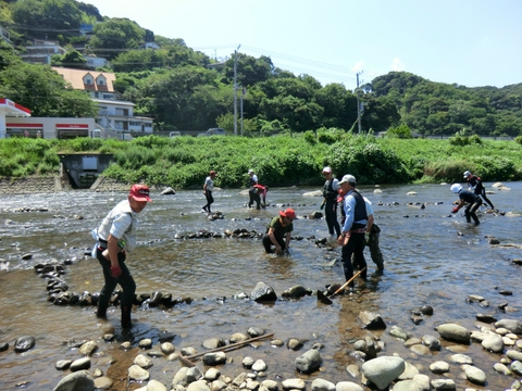 組合員アユ友釣大会とアユつかみ取り大会準備 組合員アユ友釣大会とアユつかみ取り大会準備