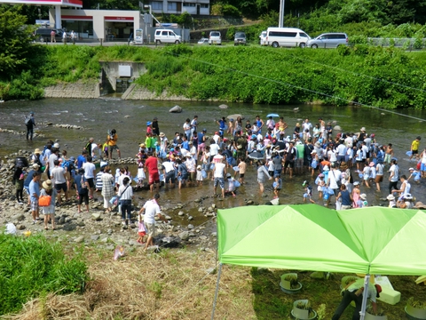 2015河津川あゆつかみどり大会無事終了 2015河津川あゆつかみどり大会無事終了
