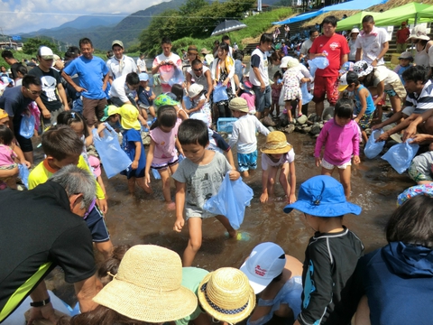 2015河津川あゆつかみどり大会無事終了 2015河津川あゆつかみどり大会無事終了