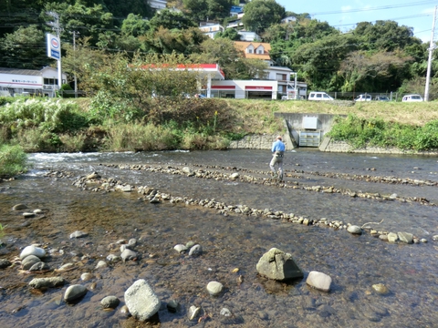 アユの産卵場を整備しました アユの産卵場を整備しました