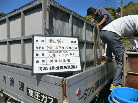 小学生児童による体験放流実施 小学生児童による体験放流実施