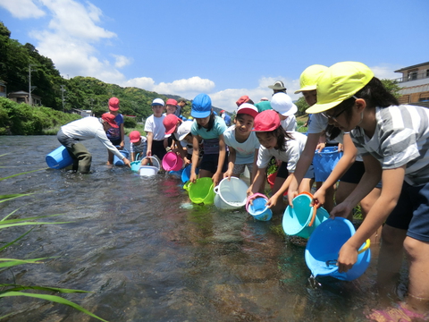 小学生児童による体験放流実施 小学生児童による体験放流実施