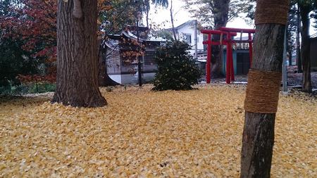 初姫神社 初姫神社