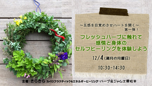 【募集中】12/4 フレッシュハーブに触れて 感情と身体のセルフヒーリングを体験するワークショップ 【募集中】12/4 フレッシュハーブに触れて 感情と身体のセルフヒーリングを体験するワークショップ