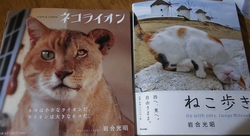 佐野美術館に行ってきました\(^o^)/ 佐野美術館に行ってきました\(^o^)/