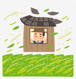 【二百十日】 【二百十日】