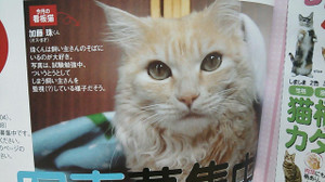 やったー♫