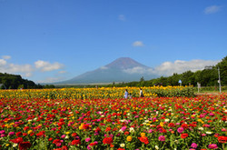 花の都公園に行ってきました