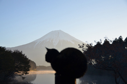 『早起きは三文の得』