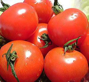 tomato