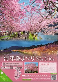 第23回　河津桜まつり 平成25年2月5日より開催決定！