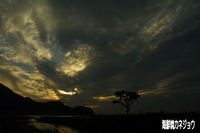 11月26日の雲