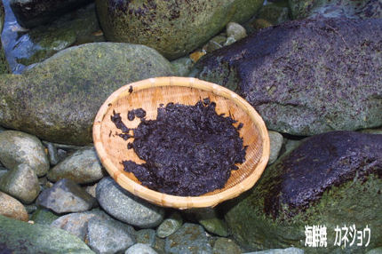 海苔かき