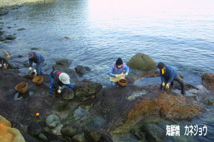 海苔かき