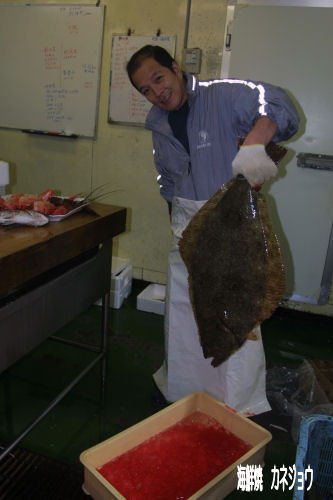 ヒラメ7.5Kg