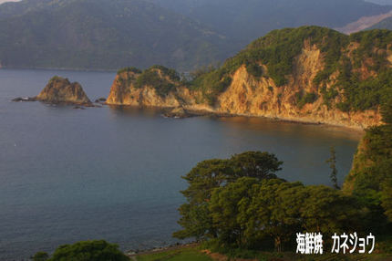 5月15日の根合海岸