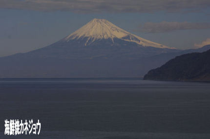 29日の富士山